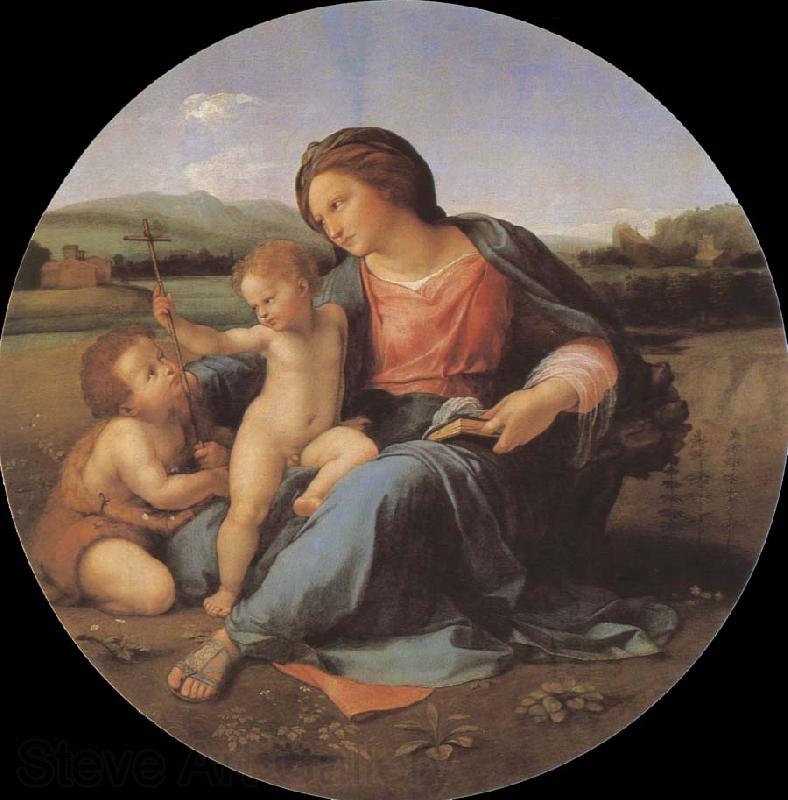RAFFAELLO Sanzio The virgin mary France oil painting art